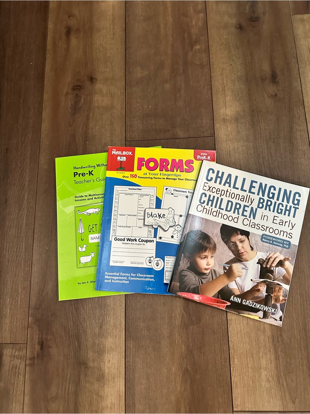 Challenging Exceptionally Bright Children - Educational Book (Blue/White)